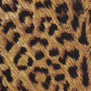 501 Cheetah