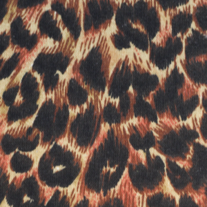 501 Leopard